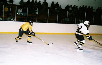 hockey player